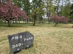 2025-05-12